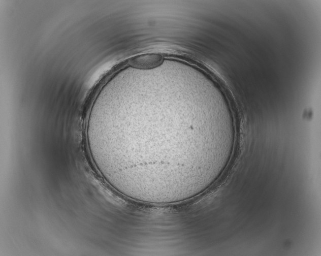 X0000111041067200907091604