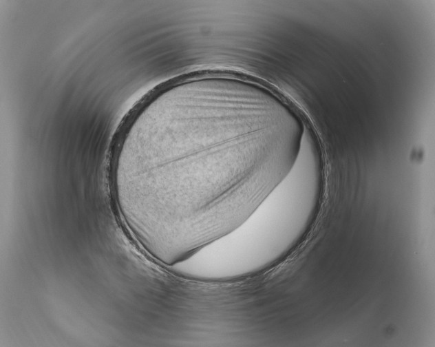 X0000111041068200907091604