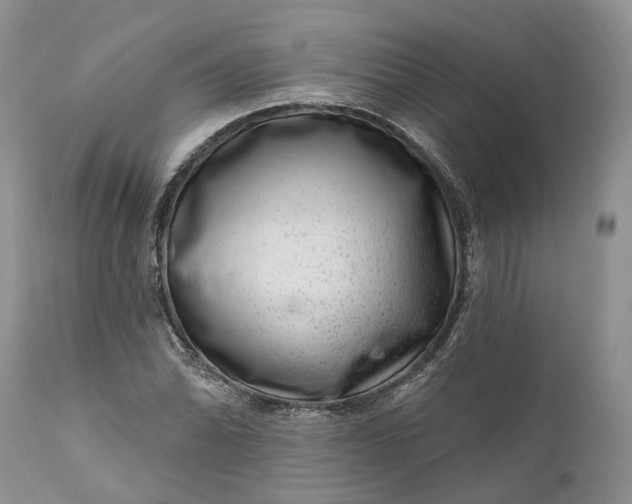 X0000111041070200907091603