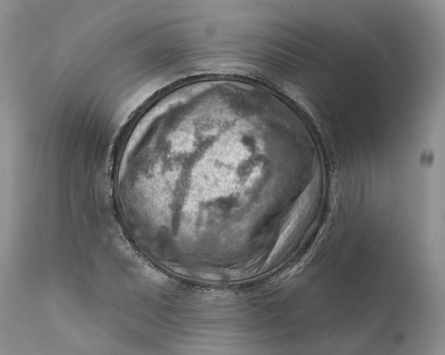 X0000111041071200907091603