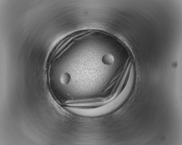 X0000111041072200907091603