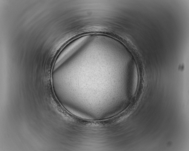 X0000111041073200907091603