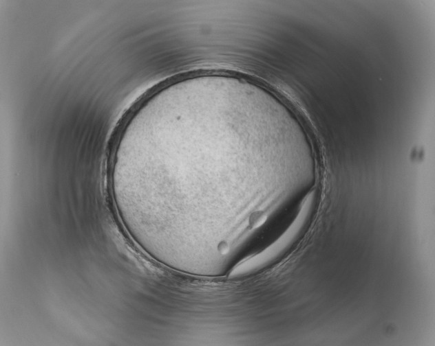 X0000111041076200907091603