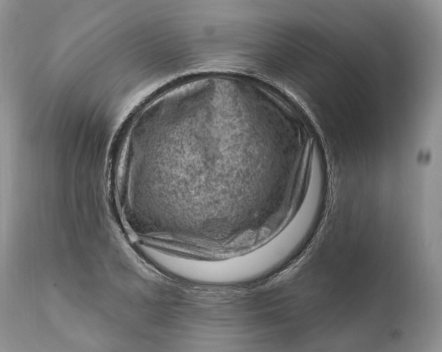 X0000111041077200907091603