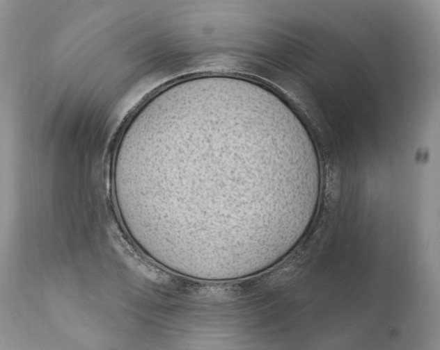 X0000111041078200907091603