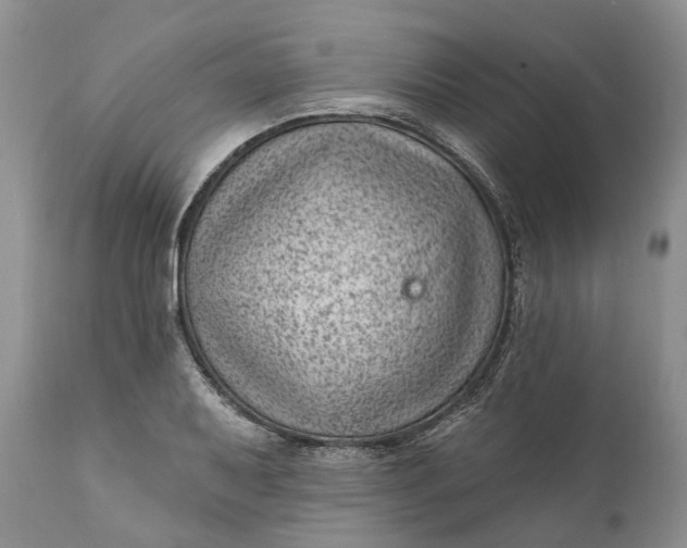 X0000111041079200907091603