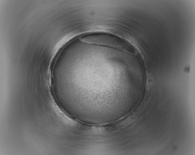 X0000111041080200907091603