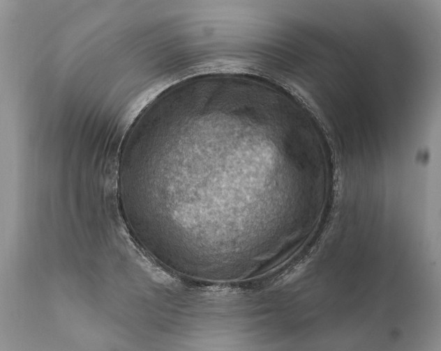 X0000111041081200907091603