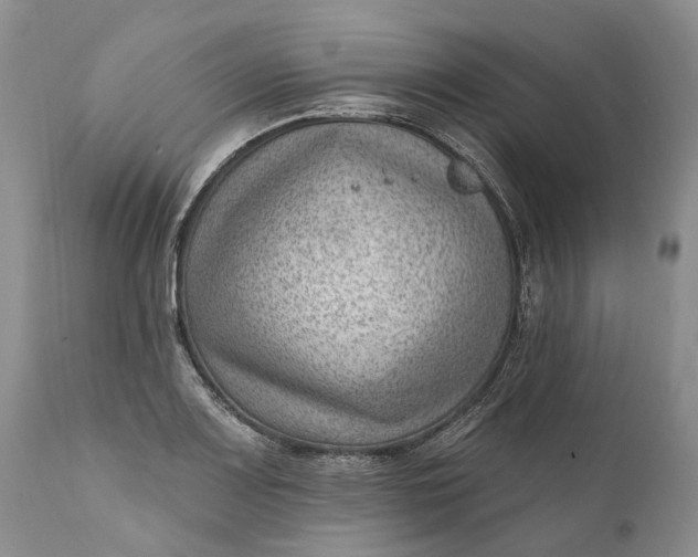 X0000111041083200907091603