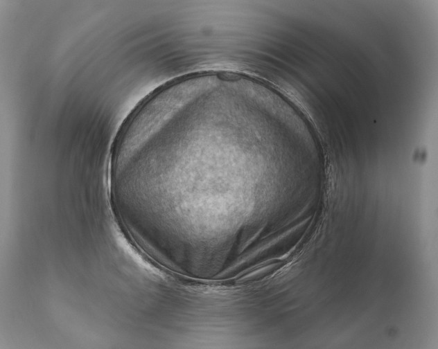 X0000111041084200907091603