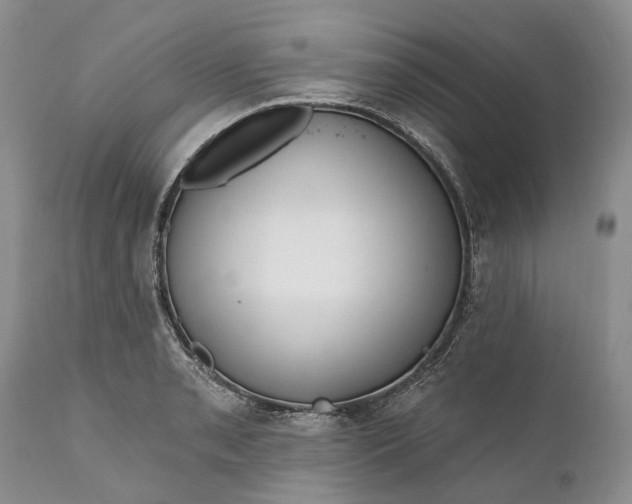 X0000111041085200907091603