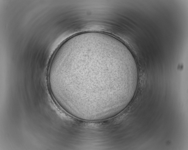 X0000111041086200907091603