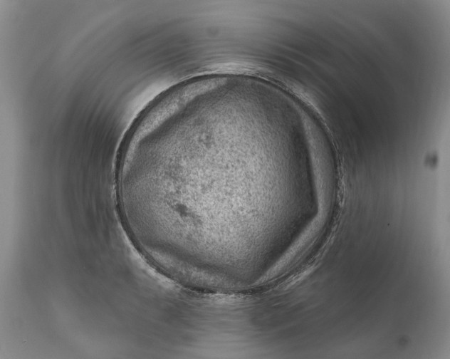 X0000111041087200907091603