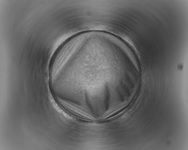 X0000111041088200907091603