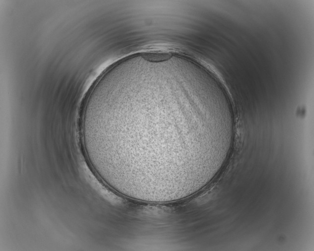 X0000111041091200907091603