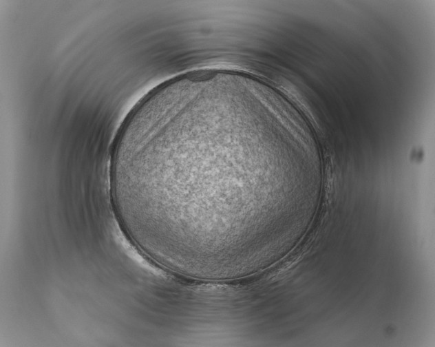 X0000111041092200907091603