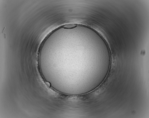 X0000111041093200907091603