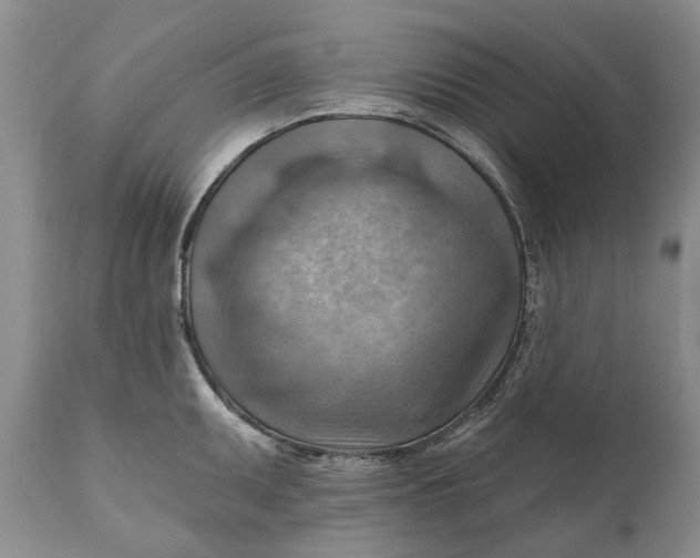 X0000111041095200907091603