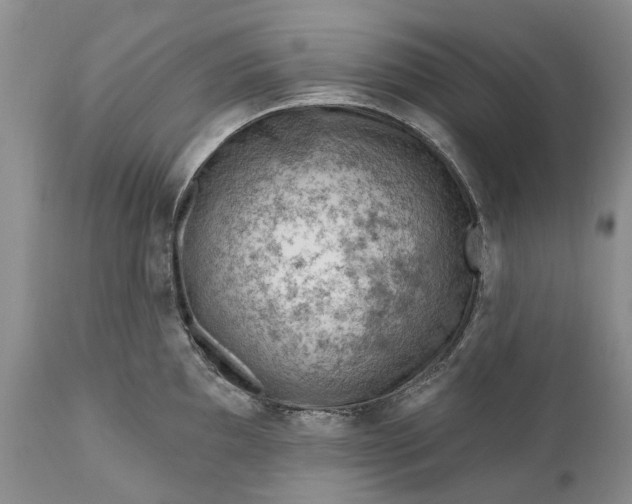 X0000111041097200907091603