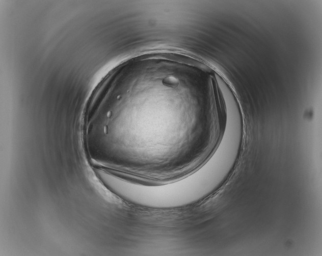 X0000111041098200907091603