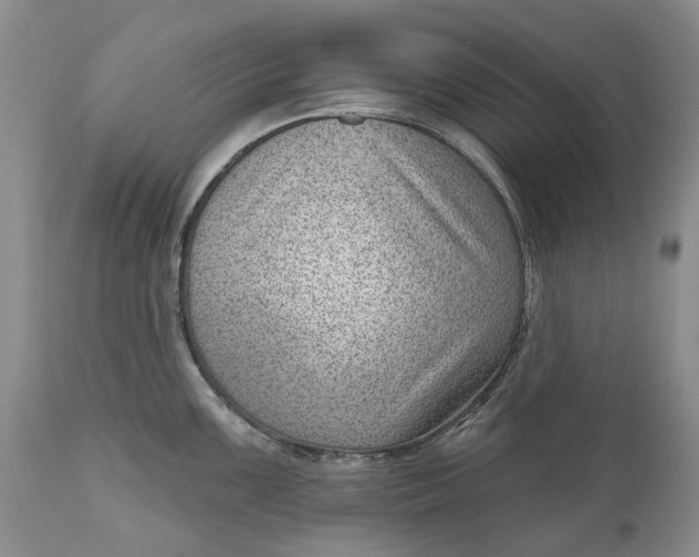 X0000111041099200907091603