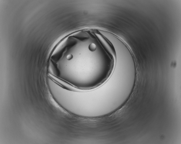 X0000111041100200907091603