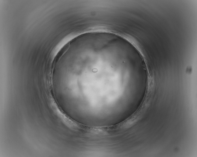 X0000111041101200907091603