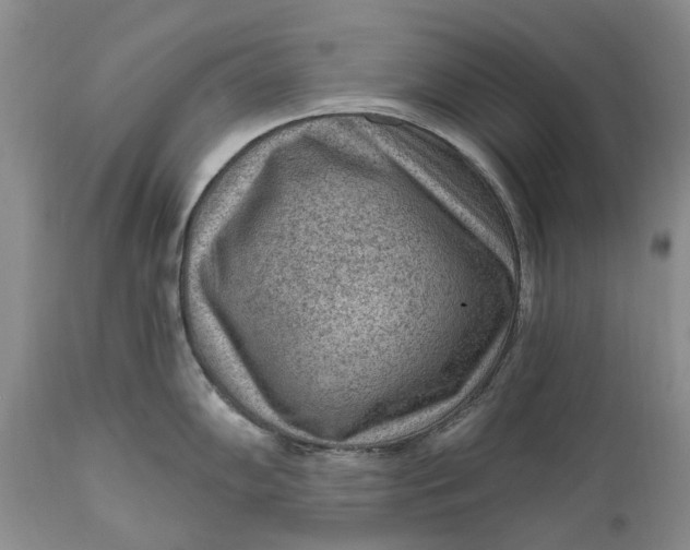 X0000111041102200907091603