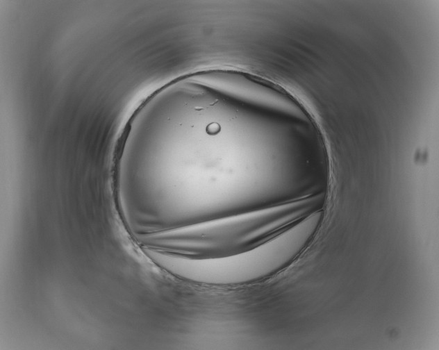 X0000111041104200907091603