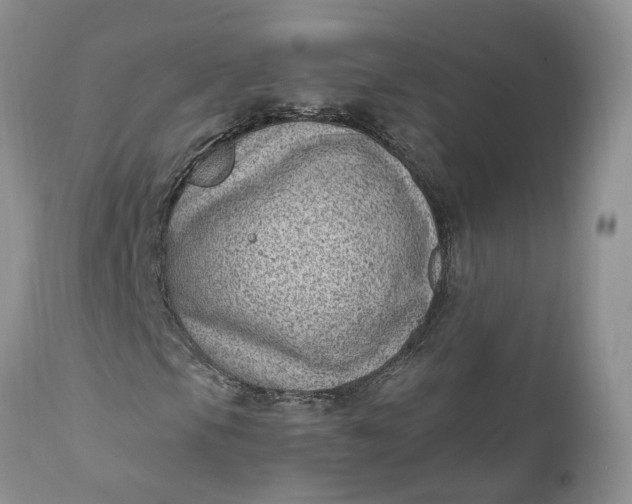 X0000111041105200907091602