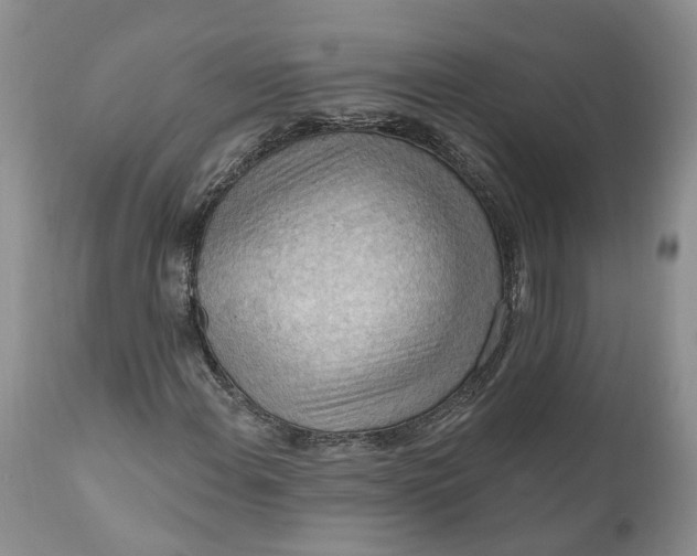 X0000111041108200907091602