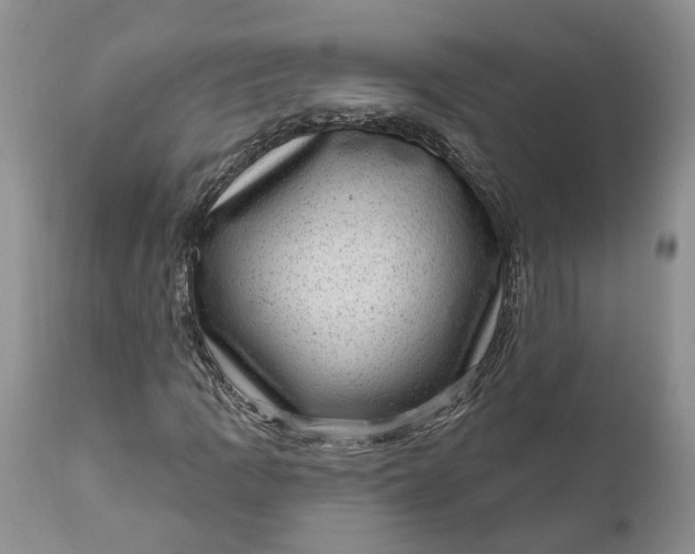 X0000111041109200907091602