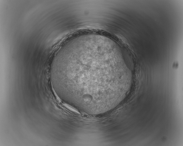 X0000111041110200907091602