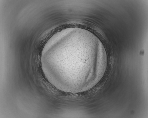 X0000111041111200907091602