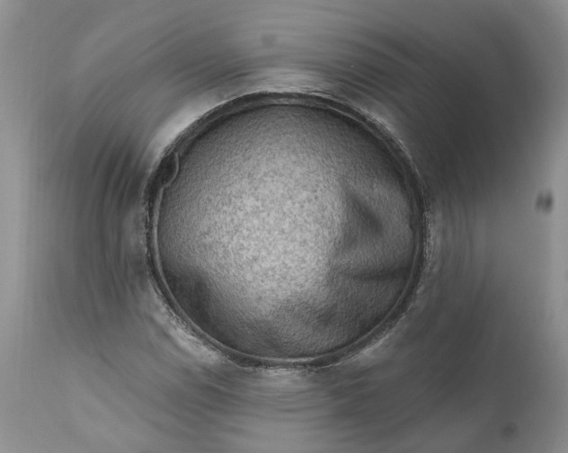 X0000111041114200907091602