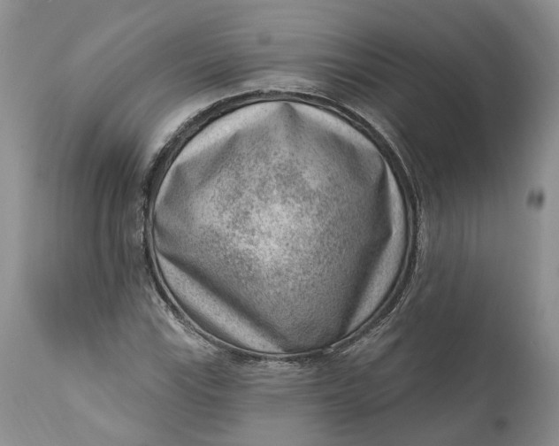 X0000111041115200907091602