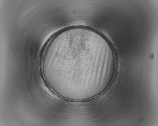 X0000111041116200907091602