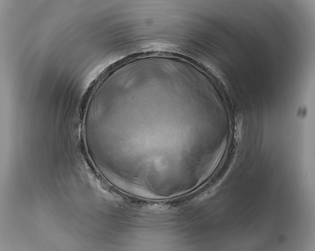 X0000111041117200907091602