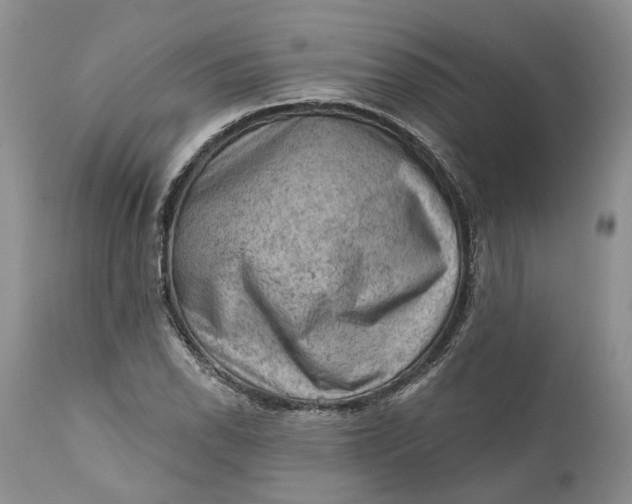 X0000111041118200907091602