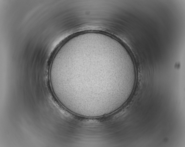 X0000111041119200907091602