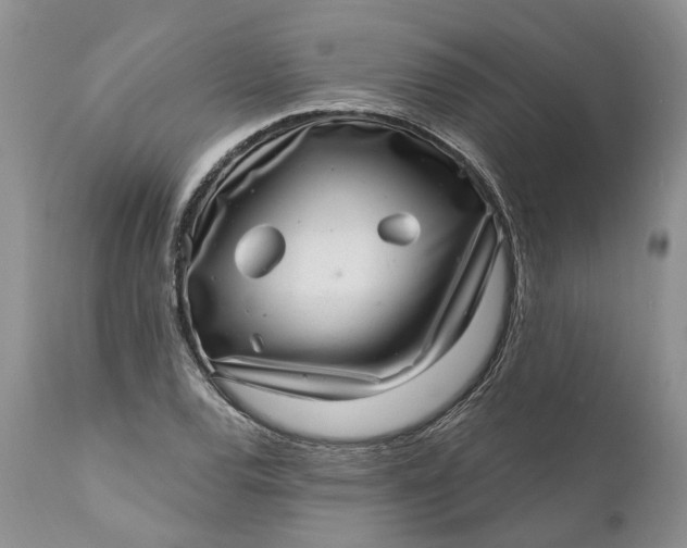 X0000111041120200907091602