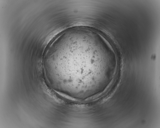 X0000111041121200907091602