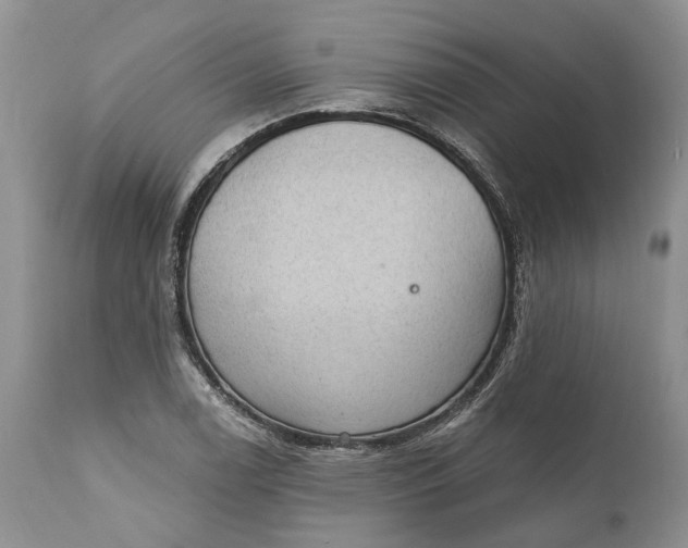 X0000111041122200907091602