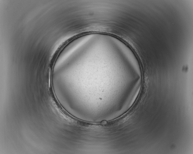 X0000111041123200907091602