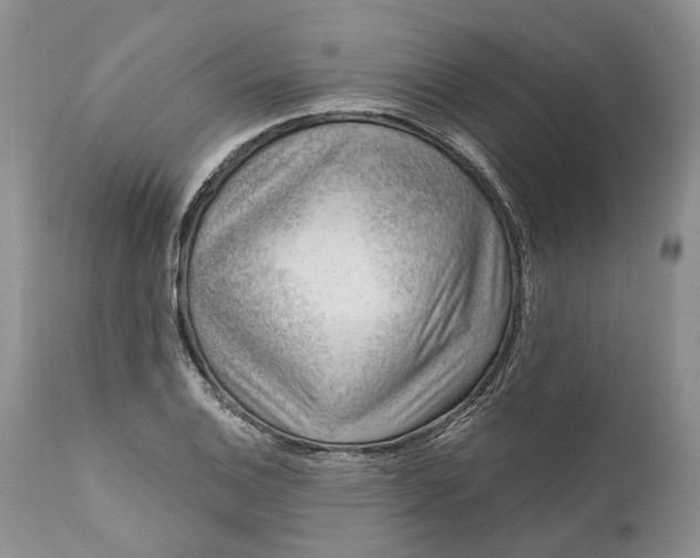 X0000111041124200907091602