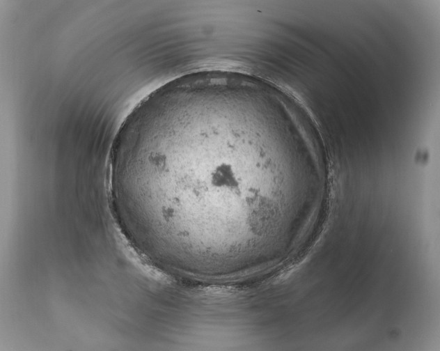 X0000111041125200907091602