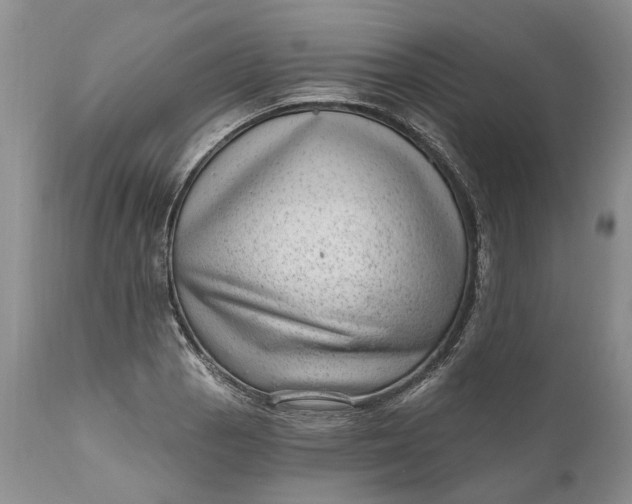 X0000111041129200907091603