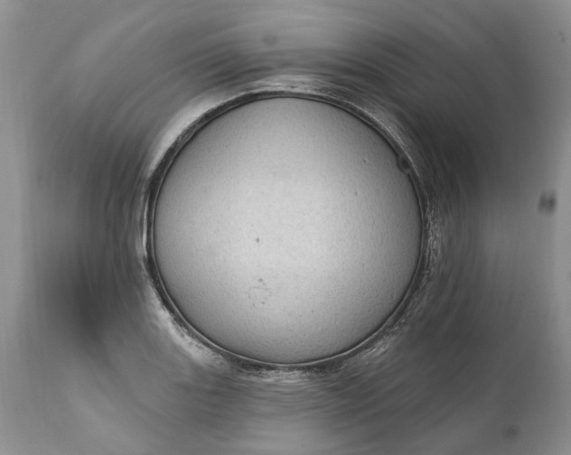 X0000111041131200907091603