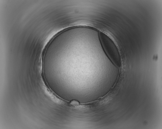 X0000111041132200907091603