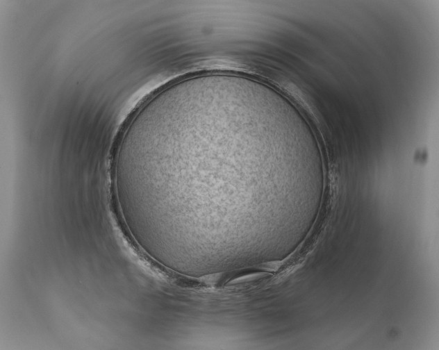 X0000111041133200907091603